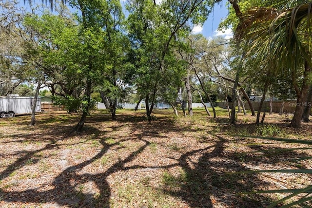 11207 Donneymoor Dr, Riverview, FL 33569 - view of yard with fence