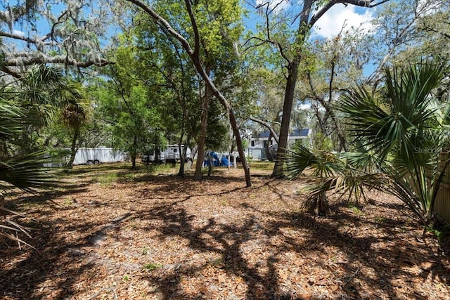 11207 Donneymoor Dr, Riverview, FL 33569 - view of yard with fence