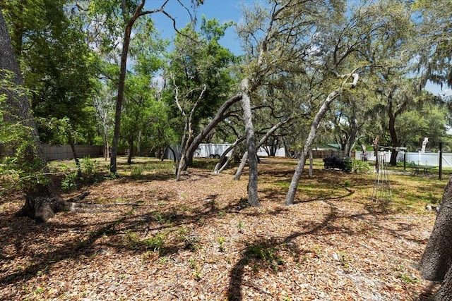 11207 Donneymoor Dr, Riverview, FL 33569 - view of yard featuring fence