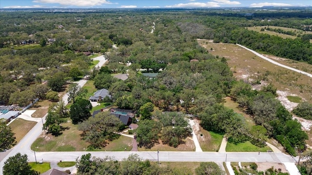 11207 Donneymoor Dr, Riverview, FL 33569 - aerial overview of property's location with a heavily wooded area