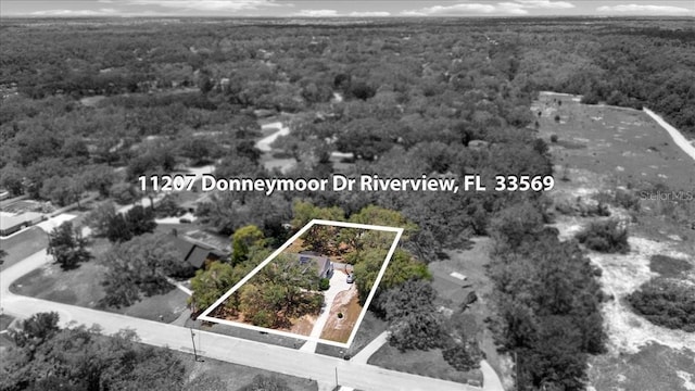 11207 Donneymoor Dr, Riverview, FL 33569 - aerial overview of property's location featuring a heavily wooded area and property parcel outlined