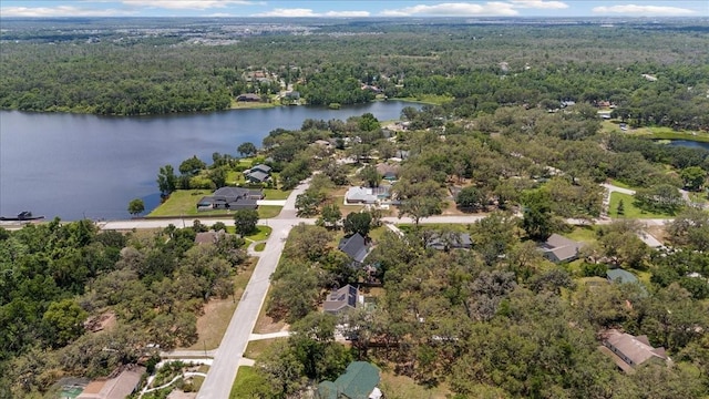 11207 Donneymoor Dr, Riverview, FL 33569 - aerial view of property and surrounding area with a forest and a large body of water