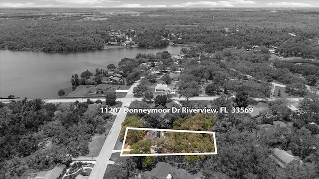 11207 Donneymoor Dr, Riverview, FL 33569 - aerial view of property's location featuring a heavily wooded area, a nearby body of water, and property boundaries highlighted