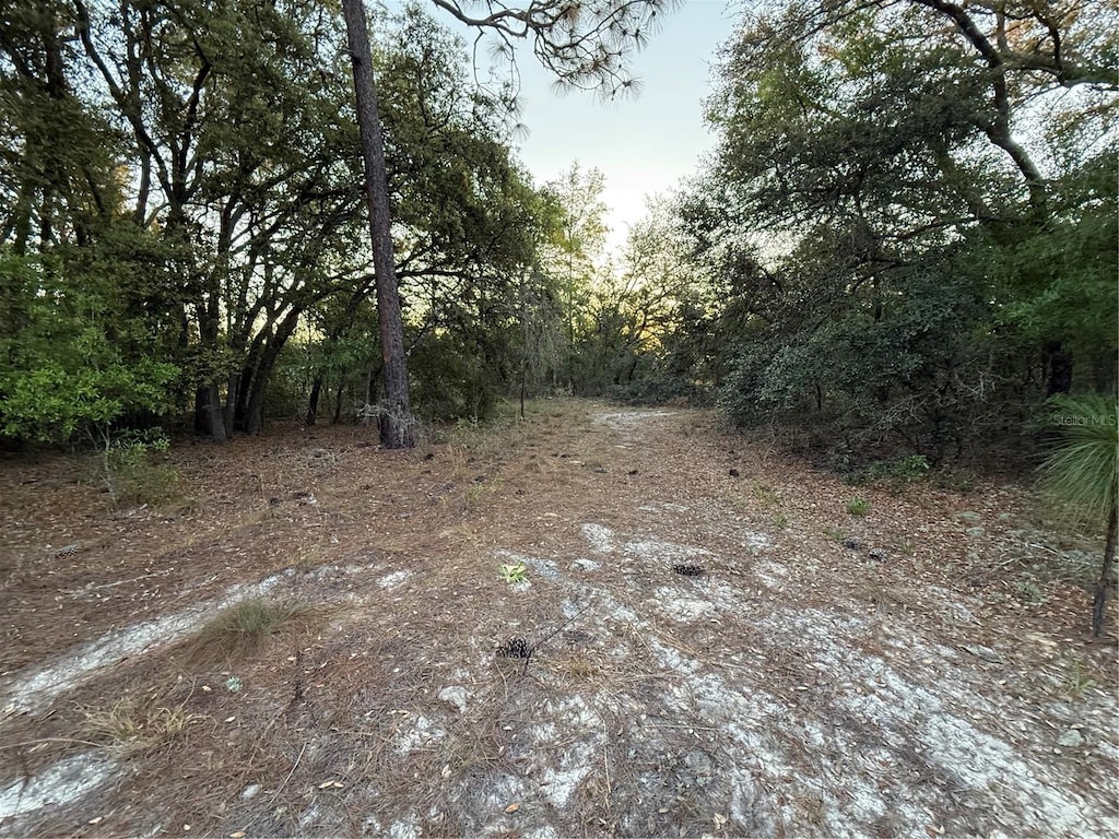 SW 204th Ave, Dunnellon, FL 34431
