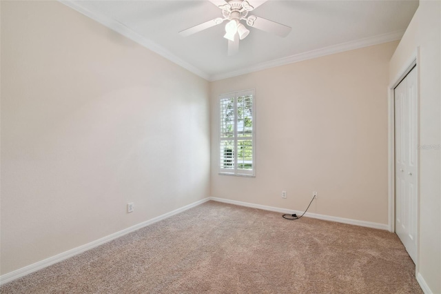 10716 Ashford Oaks Dr, Tampa, FL 33625 - photo 16