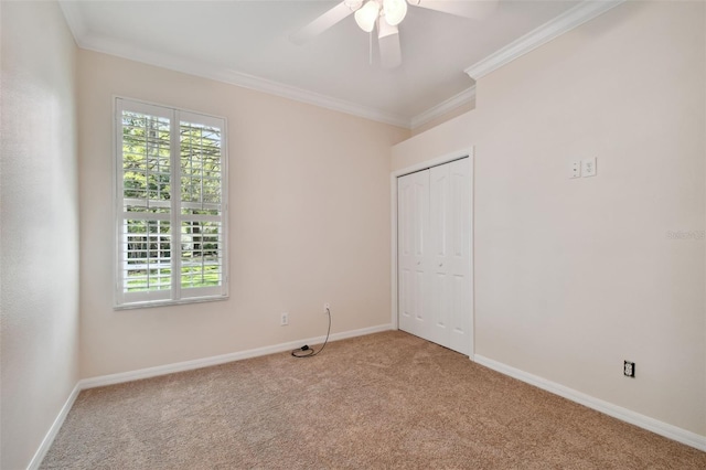 10716 Ashford Oaks Dr, Tampa, FL 33625 - photo 17