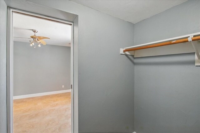 212 8th Ave S, Safety Harbor, FL 34695 - photo 26