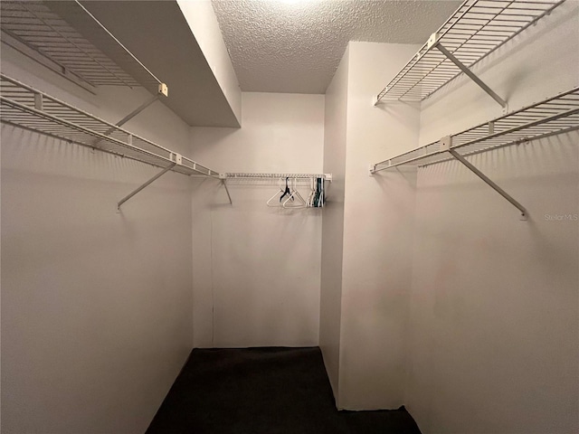 2406 Cypress Pond Rd Unit 2406, Palm Harbor, FL 34683 - view of walk in closet