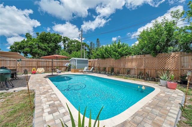 8497 Portulaca Ave, Seminole, FL 33777 - view of swimming pool featuring a fenced backyard, a patio, a storage unit, an outbuilding, and grilling area