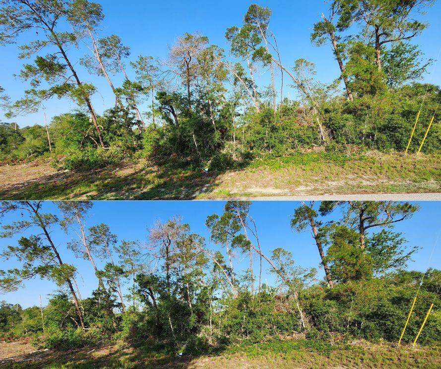 5417 Moongate Rd, Spring Hill, FL 34606