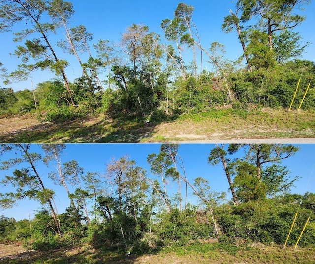 5417 Moongate Rd, Spring Hill, FL 34606
