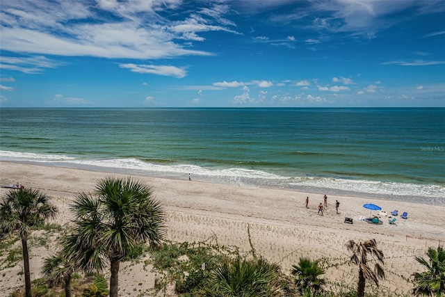 1600 Gulf Blvd Unit 514, Clearwater Beach, FL 33767 - water view with local beach