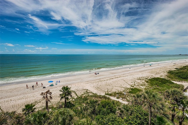 1600 Gulf Blvd Unit 514, Clearwater Beach, FL 33767 - water view with local beach