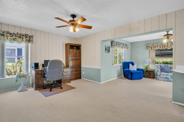 2113 Malcolm Dr, Palm Harbor, FL 34684 - office space featuring ceiling fan, carpet, baseboards, and a textured ceiling