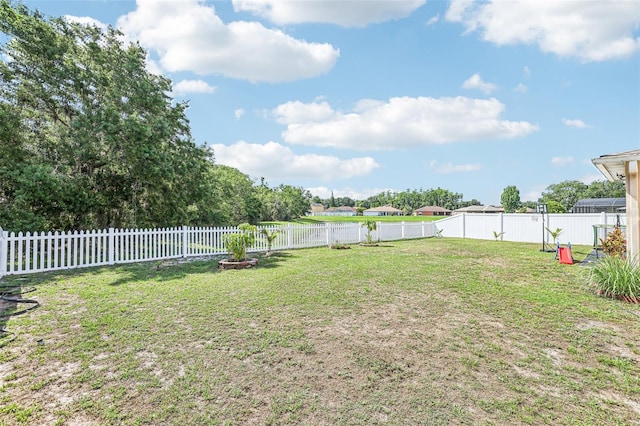 4422 Evergreen Forest Loop, Kissimmee, FL 34758 - view of yard