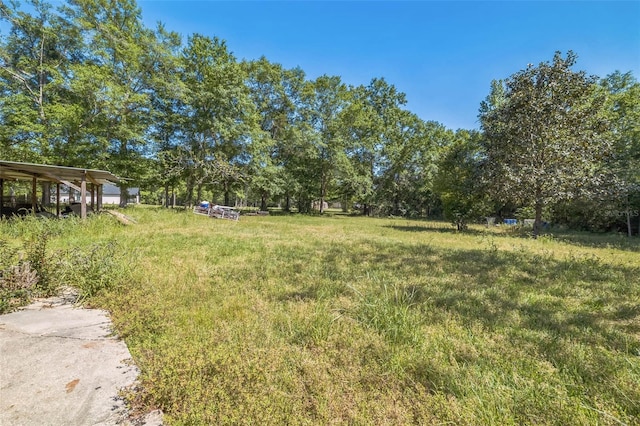 797 Hwy Unit 196, Cantonment, FL 32533 - view of yard