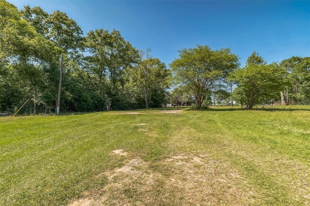 797 Hwy Unit 196, Cantonment, FL 32533 - view of yard