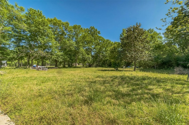 797 Hwy Unit 196, Cantonment, FL 32533 - view of yard