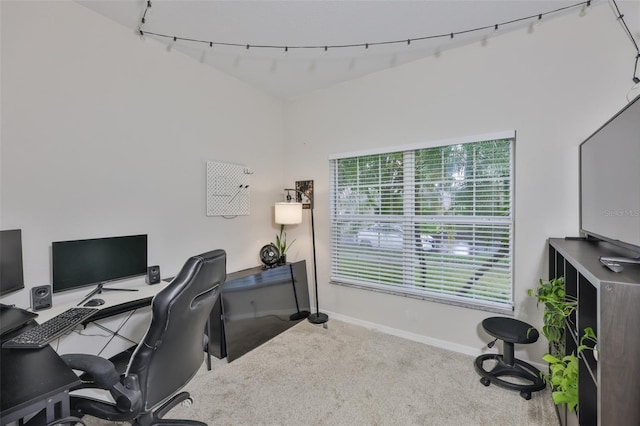 1129 Emerald Hill Way, Valrico, FL 33594 - photo 23