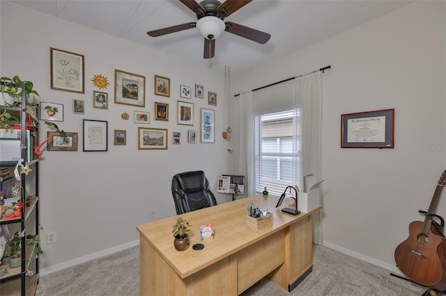 1129 Emerald Hill Way, Valrico, FL 33594 - photo 25