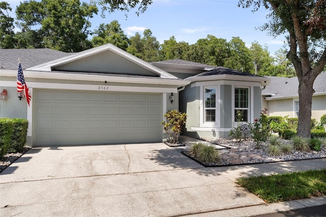 8562 Acorn Ridge Ct, Tampa, FL 33625 - photo 1