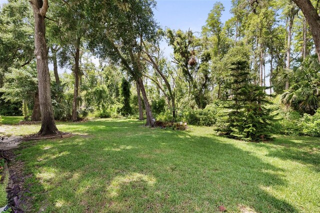 8562 Acorn Ridge Ct, Tampa, FL 33625 - photo 38