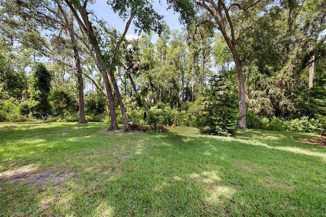 8562 Acorn Ridge Ct, Tampa, FL 33625 - photo 42