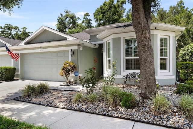 8562 Acorn Ridge Ct, Tampa, FL 33625 - photo 45