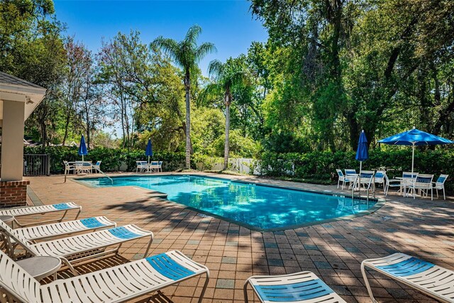 8562 Acorn Ridge Ct, Tampa, FL 33625 - photo 49