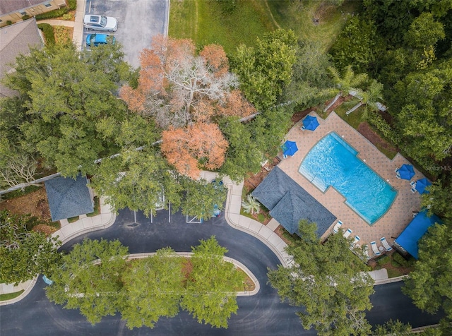 8562 Acorn Ridge Ct, Tampa, FL 33625 - photo 54