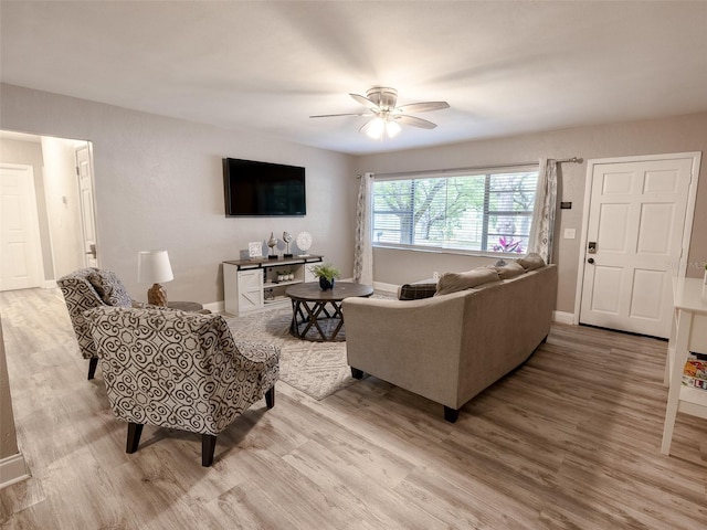 10233 N Valle Dr, Tampa, FL 33612 - photo 3