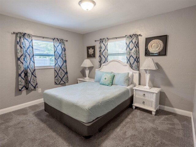 10233 N Valle Dr, Tampa, FL 33612 - photo 7