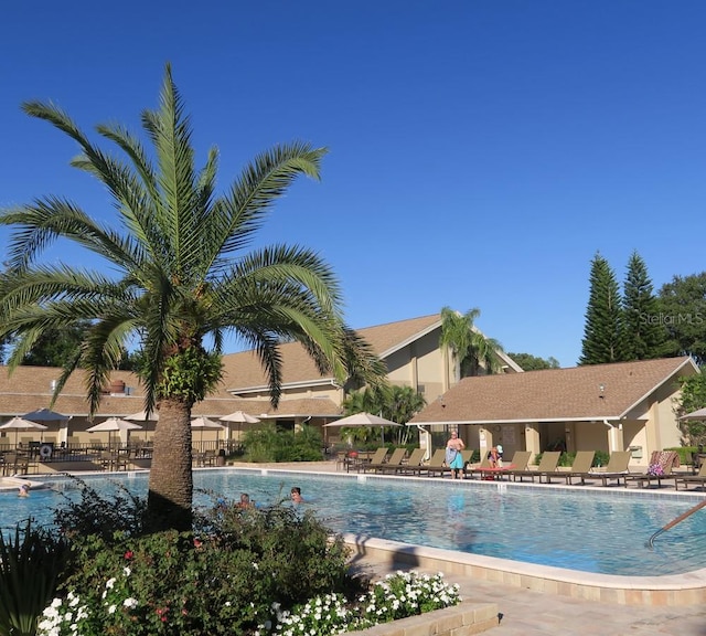 2380 Shelly Dr Unit B, Palm Harbor, FL 34684 - view of community pool