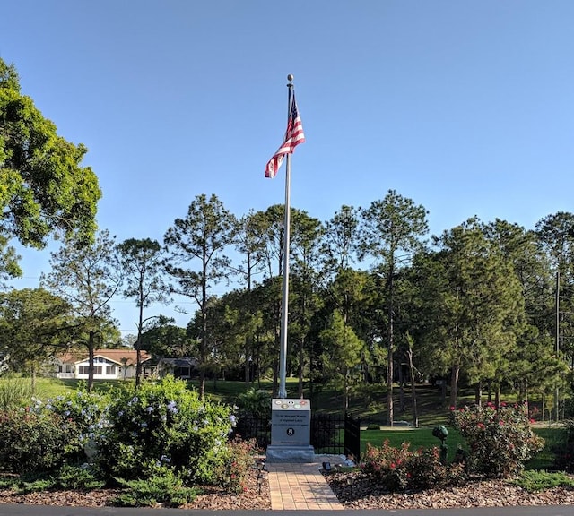 2380 Shelly Dr Unit B, Palm Harbor, FL 34684 - view of community