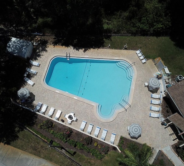 2380 Shelly Dr Unit B, Palm Harbor, FL 34684 - view of community pool