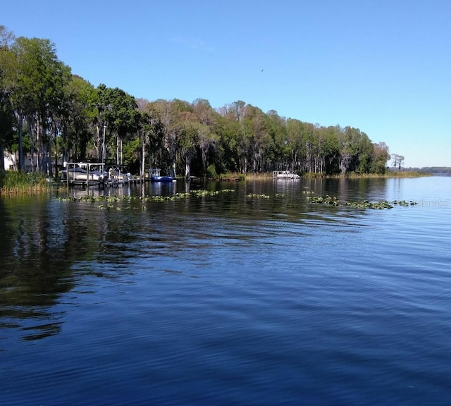 2380 Shelly Dr Unit B, Palm Harbor, FL 34684 - water view
