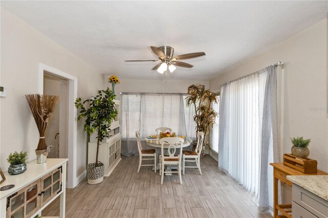 6235 17th Ave N, Saint Petersburg, FL 33710 - photo 10