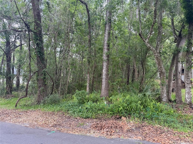 Rogers Ave, Brooksville, FL 34601 - photo 1