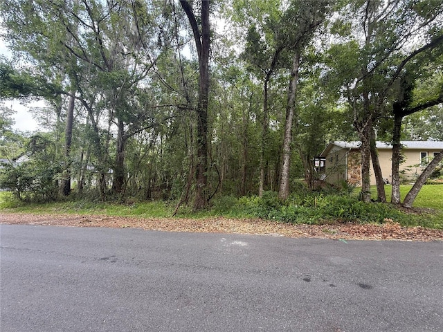 Rogers Ave, Brooksville, FL 34601 - photo 2