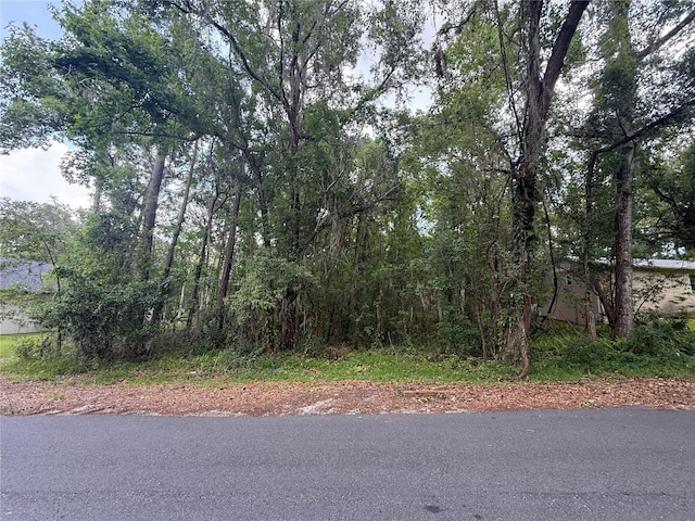 Rogers Ave, Brooksville, FL 34601 - photo 3