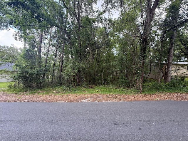 Rogers Ave, Brooksville, FL 34601 - photo 4