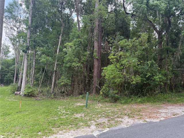 Rogers Ave, Brooksville, FL 34601 - photo 5