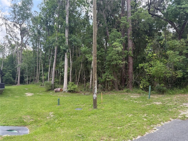 Rogers Ave, Brooksville, FL 34601 - photo 6