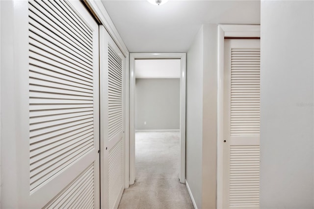 4006 Cypress Ln Unit 4006, Tampa, FL 33618 - hall with light carpet and baseboards