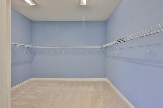 walk in closet with carpet