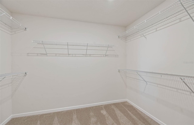 1075 Silverlake Blvd, Lake Alfred, FL 33850 - spacious closet featuring carpet flooring