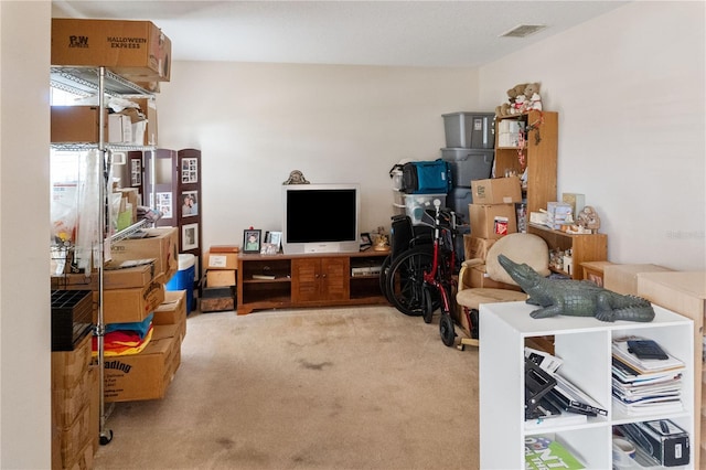 451 Peace Ct, Kissimmee, FL 34759 - office space with carpet