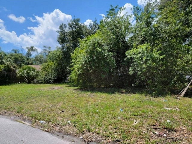 809 Palm Bluff St, Clearwater, FL 33755 - photo 1