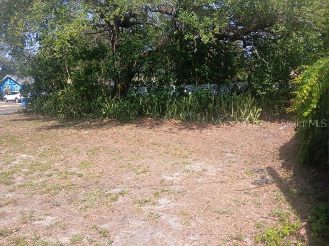 930 James Ave S, Saint Petersburg, FL 33705 - photo 6