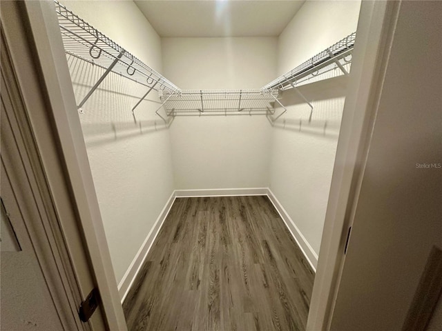 1253 Dosseywood Ln, Lakeland, FL 33811 - spacious closet featuring wood finished floors